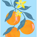 Art Prints of Orange Branch