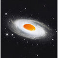 Cosmic Egg