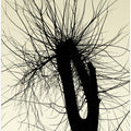 Art Prints of City Range 24