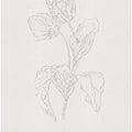 In Tulips (blue)