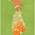 Fresh Oranges