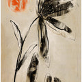 Shadowed Bloom