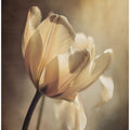 Ethereal Blossom