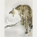 Roaring Tiger Art Poster