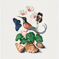 Hummingbird