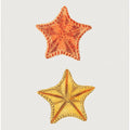 Carved Asterias