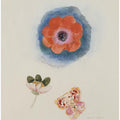 Etude de fleurs