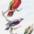 Two Birds, Including a Red Green Parrot