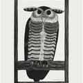 Horned Owl