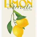Pandclimondisorrento Copy