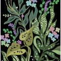 Night Garden