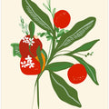 Red Secret