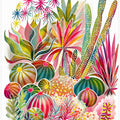 Flowering Succulent And Cacti Garden
