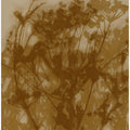 Abstract Florals. Wild flowers in ochre, brown on beige.