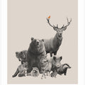 Bird and Forest Animals