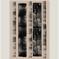 Monochrome Lines