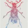 Beetle 2