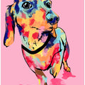 Rainbow Pup, Cute and Colorful Dog