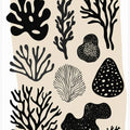 Ocean Shapes