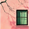 Blush and Shadows