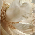 Petals of Serenity