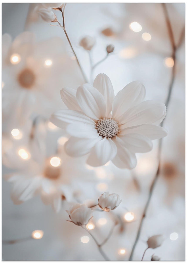 Whisper of Petals
