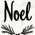 Festive Noel Design