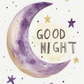 Moonlit Slumber