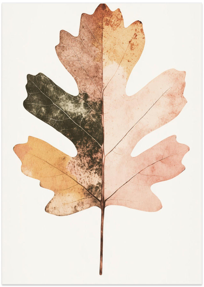 Autumn's Palette