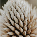 Nature's Geometry