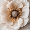 Soft Petal Dreams