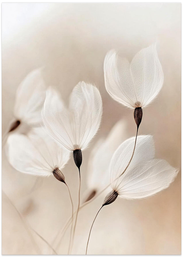 Ethereal Blossoms