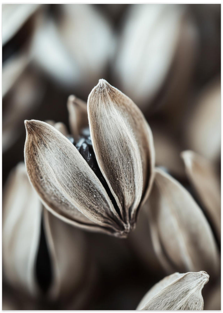 Nature's Embrace