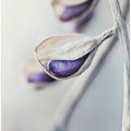 Ethereal Blossoms