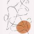 Whimsical Curves