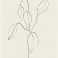 Gentle Leaf Lines