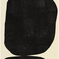 Shadowed Abstraction
