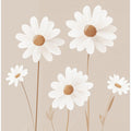Daisy Serenity
