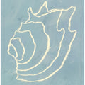 Shell Spiral Dream