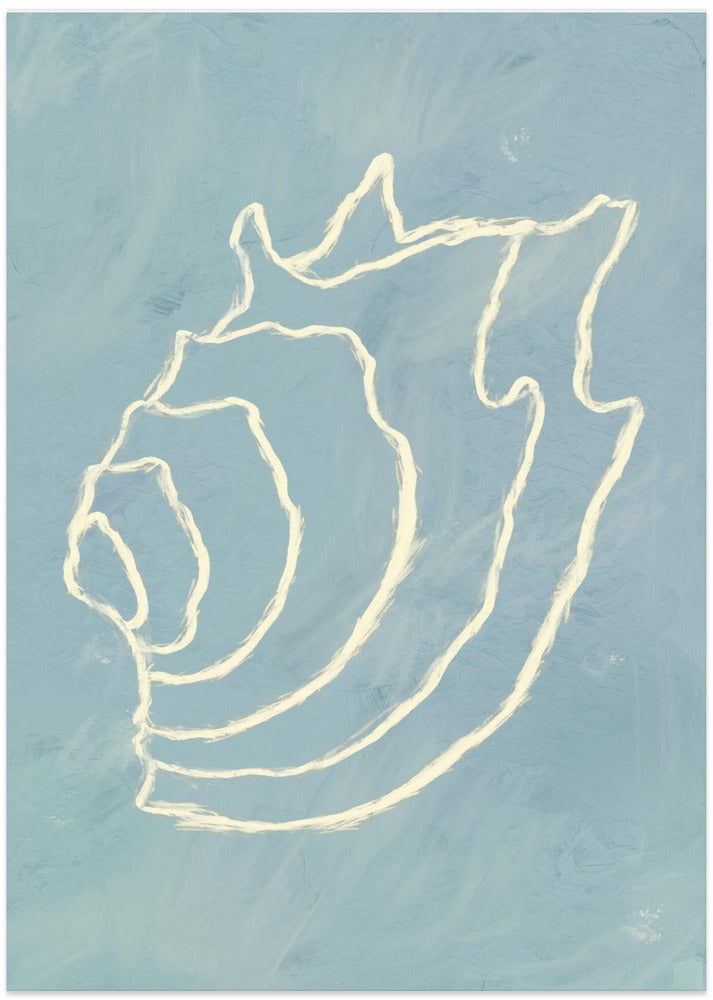 Shell Spiral Dream