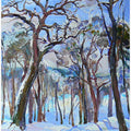 Winter forest