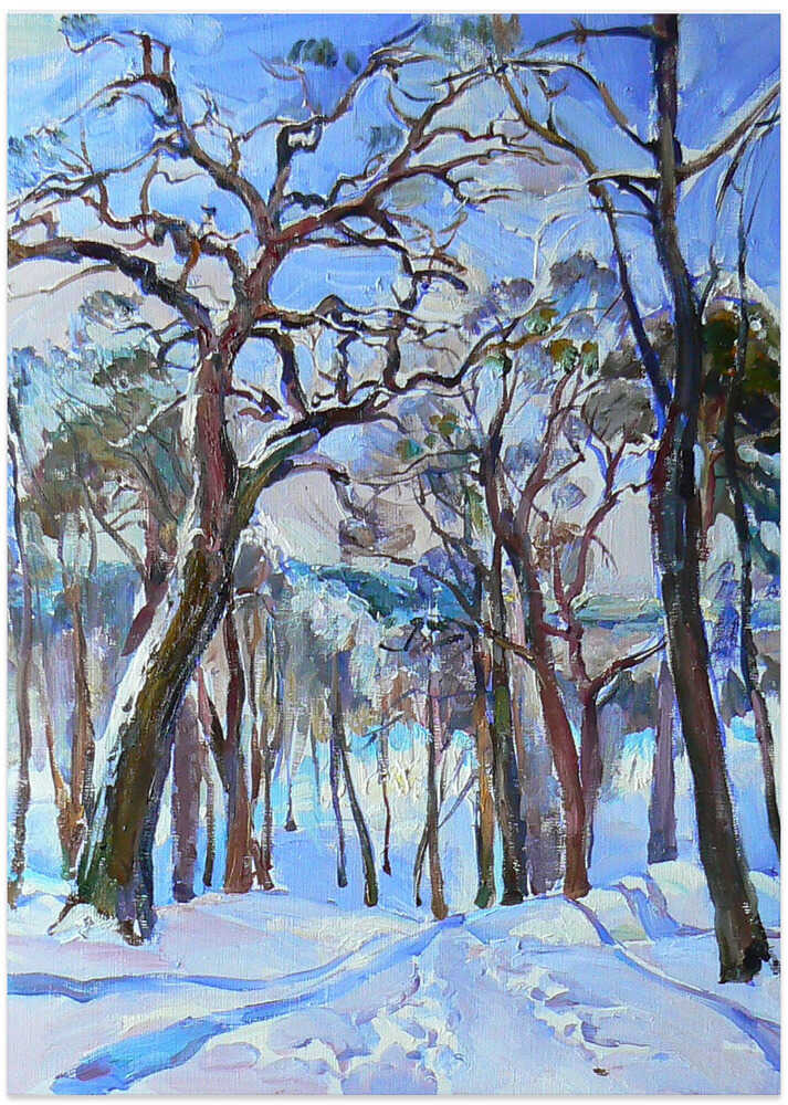 Winter forest