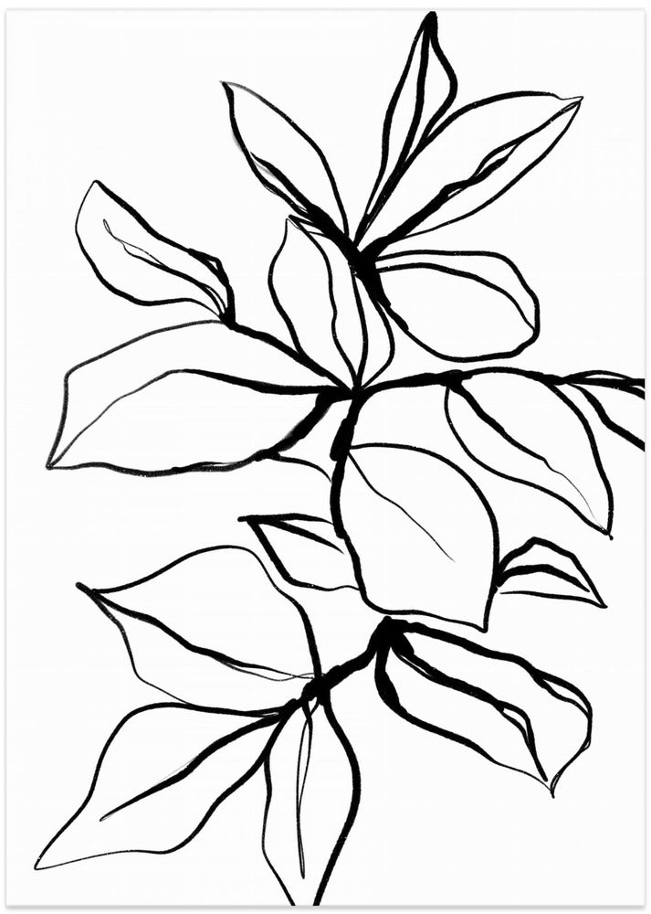 Graceful Foliage