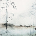 Misty Forest Calm