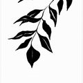 Veil of Leaves