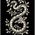 Black Snake Poster