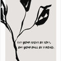 Soft Edges, Strong Will