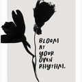 Rhythm in Bloom