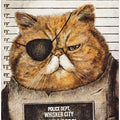 Funny Cat