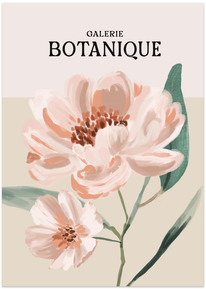 Blush Petals Bloom